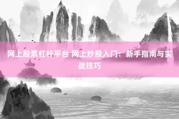 网上股票杠杆平台 网上炒股入门：新手指南与实战技巧
