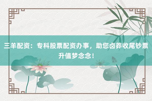 三羊配资：专科股票配资办事，助您卤莽收尾钞票升值梦念念！