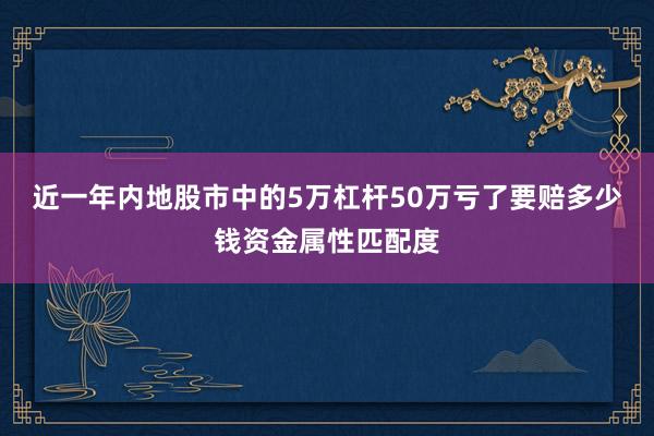 近一年内地股市中的5万杠杆50万亏了要赔多少钱资金属性匹配度