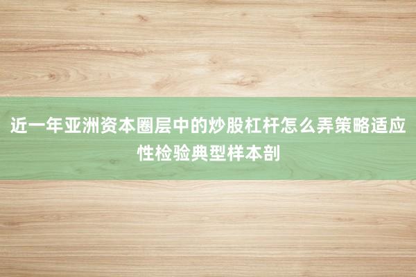 近一年亚洲资本圈层中的炒股杠杆怎么弄策略适应性检验典型样本剖