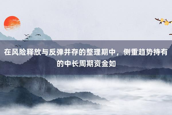 在风险释放与反弹并存的整理期中，侧重趋势持有的中长周期资金如