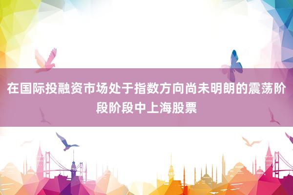 在国际投融资市场处于指数方向尚未明朗的震荡阶段阶段中上海股票