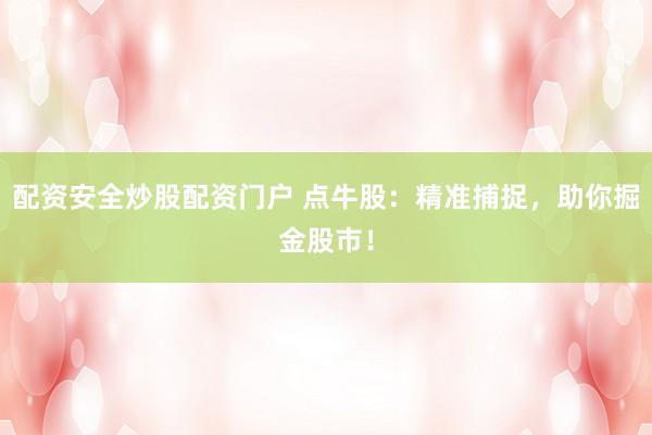 配资安全炒股配资门户 点牛股：精准捕捉，助你掘金股市！