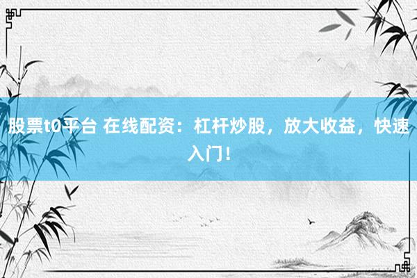 股票t0平台 在线配资：杠杆炒股，放大收益，快速入门！